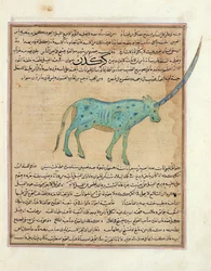 Ms E-7 fol.191b Rhinoceros、ザカリヤ・イブン・ムハンマド・アル・カズウィニによる「創造の不思議と存在の好奇心」のイラスト